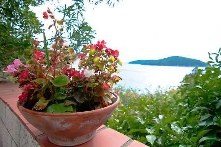 Adriatic Star Apartment